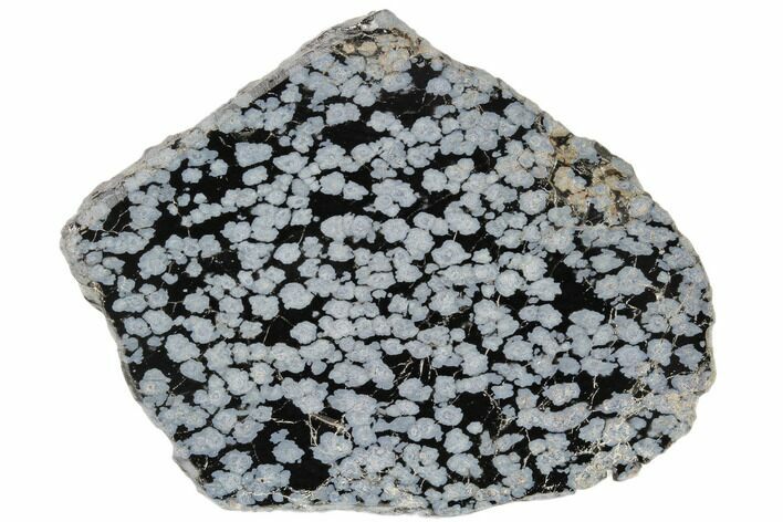 Polished Snowflake Obsidian Section - Utah #114209